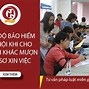 Bảo Hiểm Xã Hội Khi Đi Làm