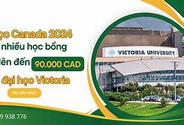 Đại Học Victoria Tại Úc Học Phí Rẻ Ở Hà Nội 2024