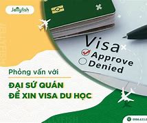 Du Học Nhật Phong Lừa Đảo Không Qua Mỹ Bao Lâu Có Kết Quả Visa