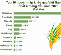 Xuất Khẩu Lúa Gạo Năm 2021 Ở Đâu Là Đẹp